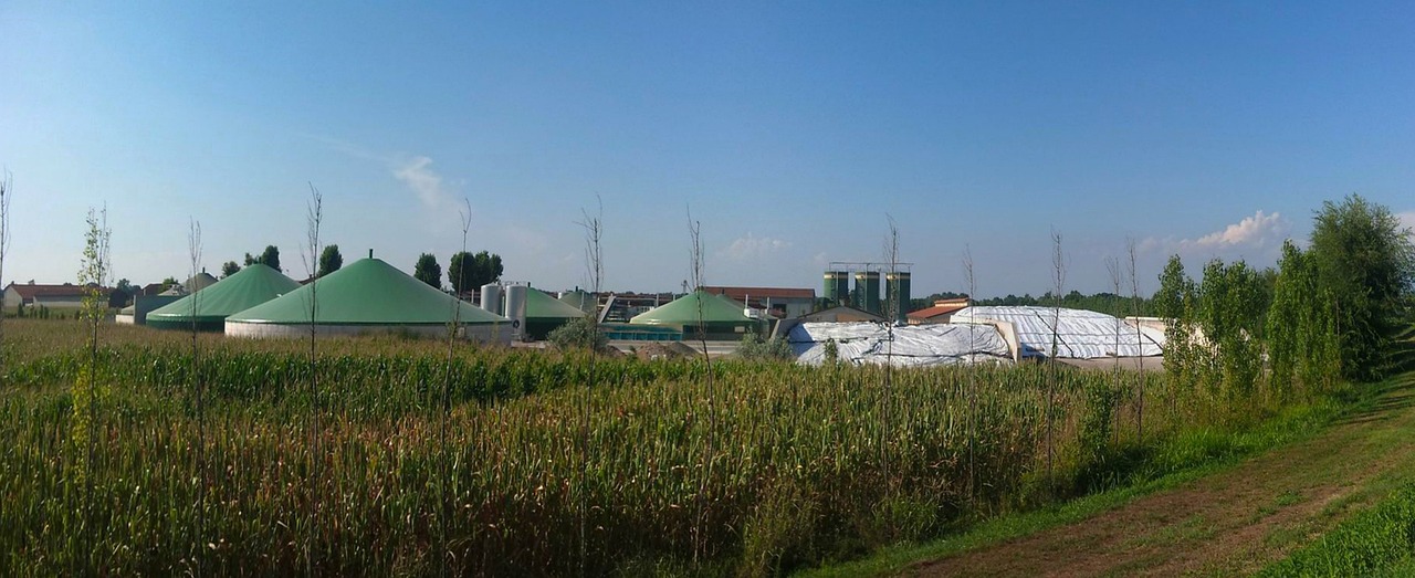 Dual Detection, Maximum Efficiency: How Dynament Sensors Optimize Biogas Monitoring