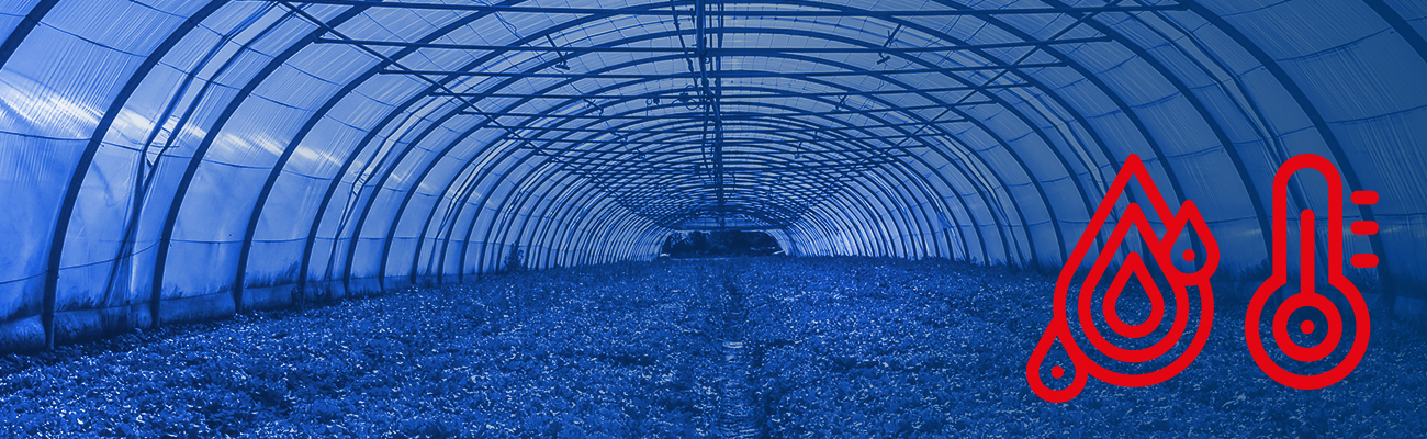 Humidity & Temperature Control Will Protect Your Greenhouse Crops