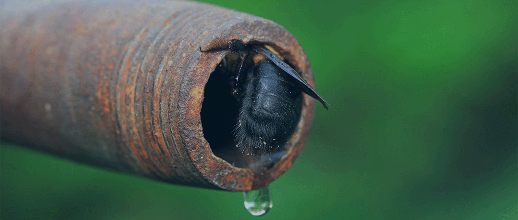 An Introduction to Contaminants in Compressed Gas and Natural Gas  