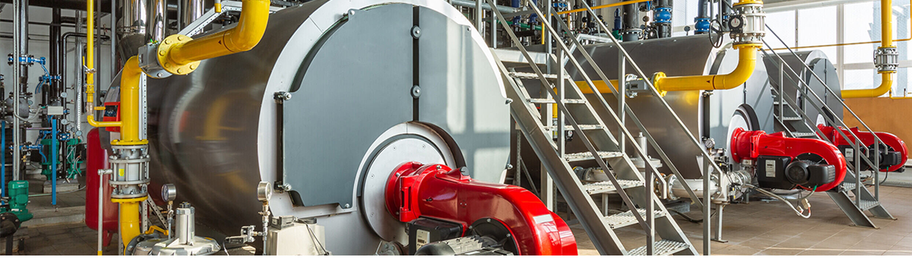 Discover the OXY-FLEX Oxygen Transmitter: Precision and Versatility for Industrial Applications