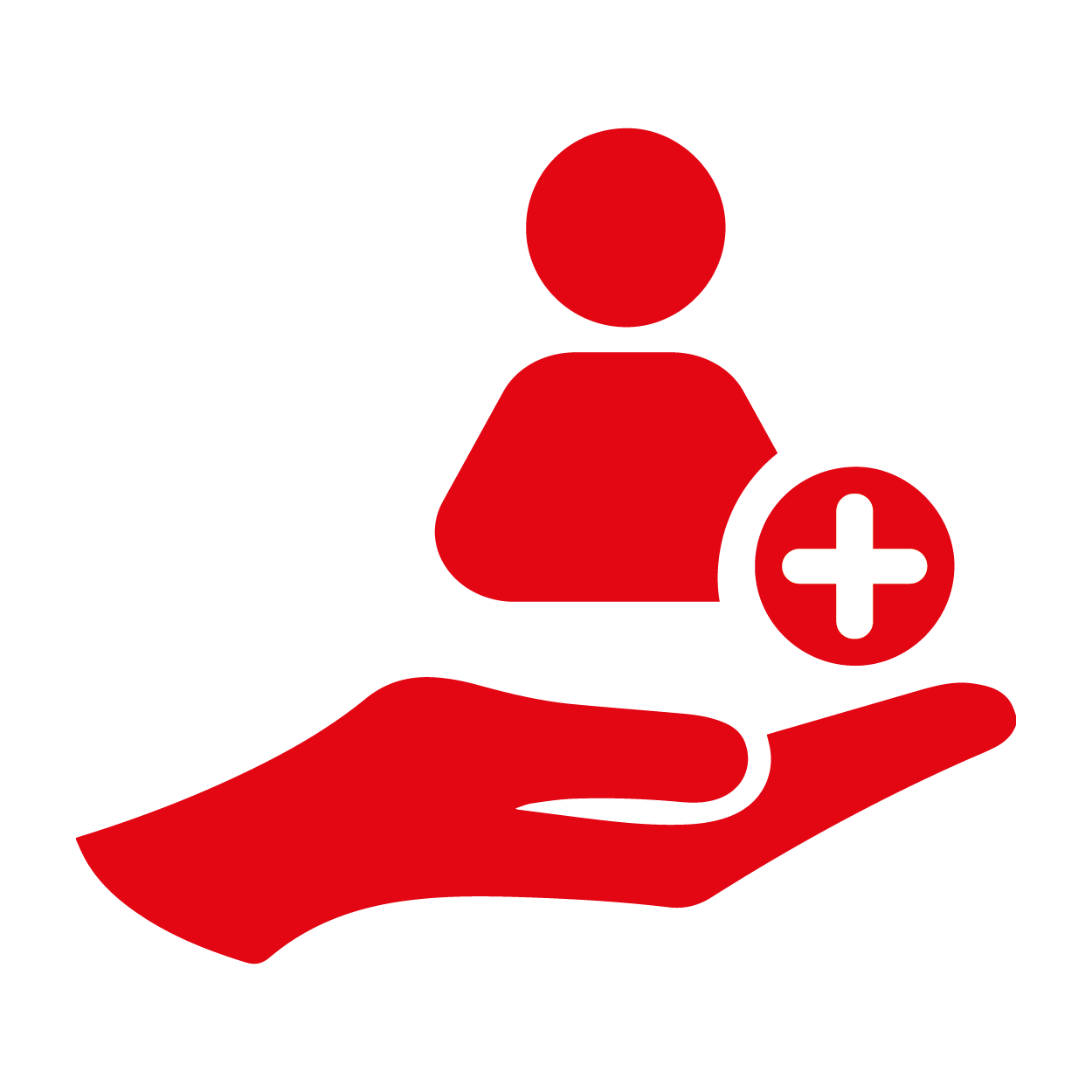 Patient Safety & Delivery Icon