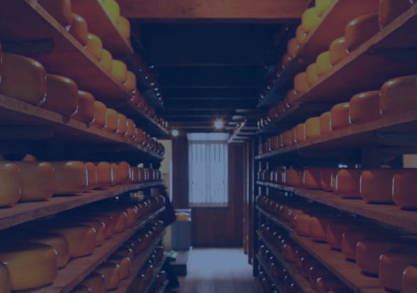 Food and Beverage Industry