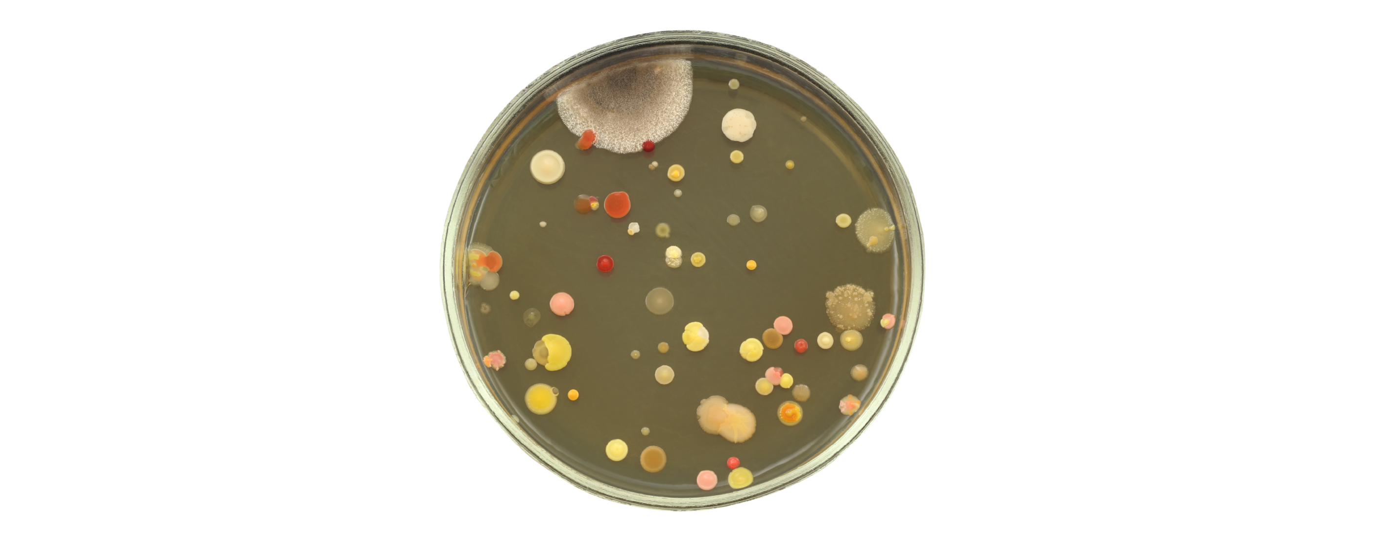 How Do I Control Moisture Contamination in my Compressed Air Supply? 