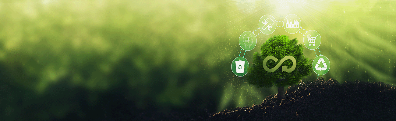 ISO 14001: What it is and Why it’s Important