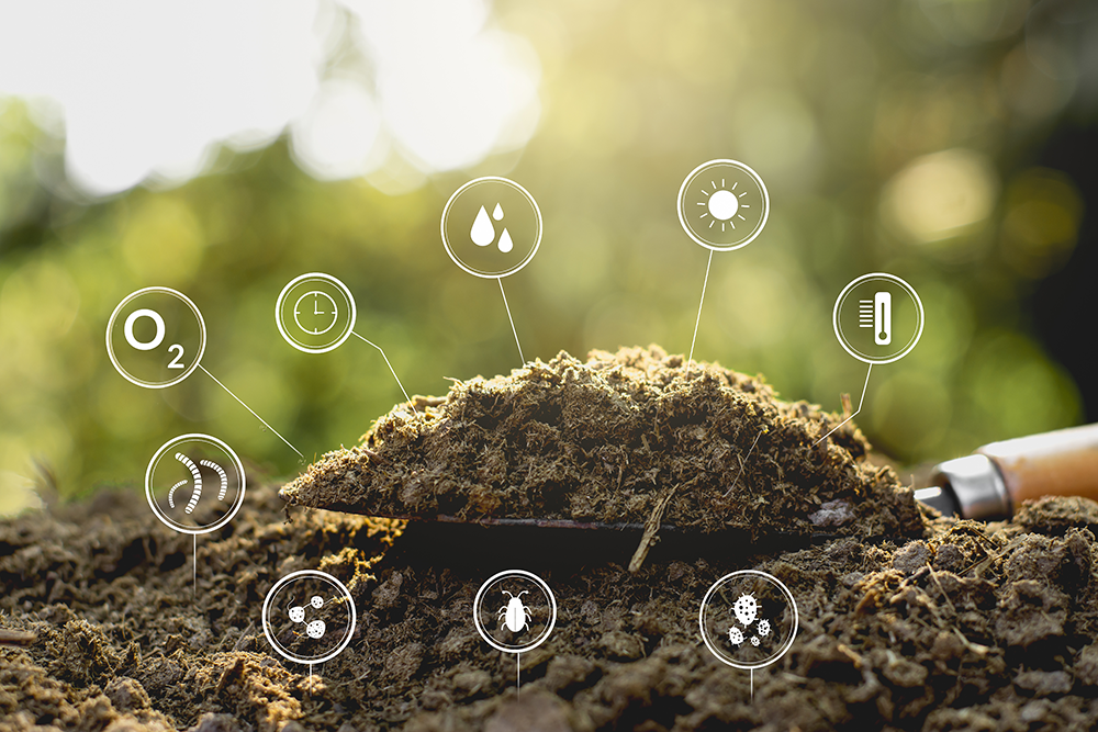 The Importance of Oxygen Measurement in Aerobic Composting 