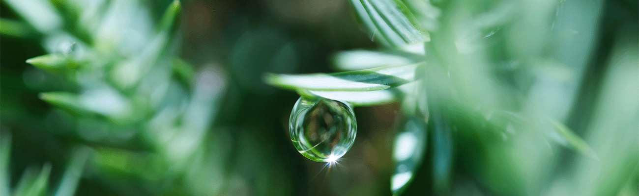 Sustainability, Moisture Measurement and Energy Costs